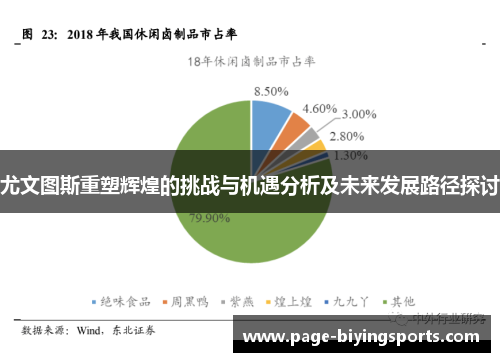 尤文图斯重塑辉煌的挑战与机遇分析及未来发展路径探讨