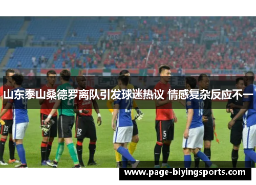 山东泰山桑德罗离队引发球迷热议 情感复杂反应不一