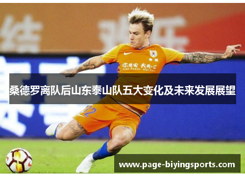 桑德罗离队后山东泰山队五大变化及未来发展展望