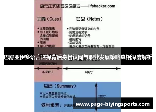 巴舒亚伊多语言选择背后身份认同与职业发展策略真相深度解析