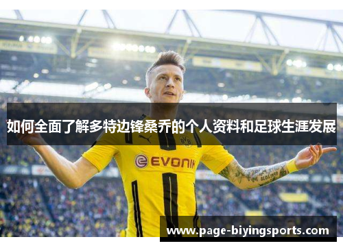 如何全面了解多特边锋桑乔的个人资料和足球生涯发展